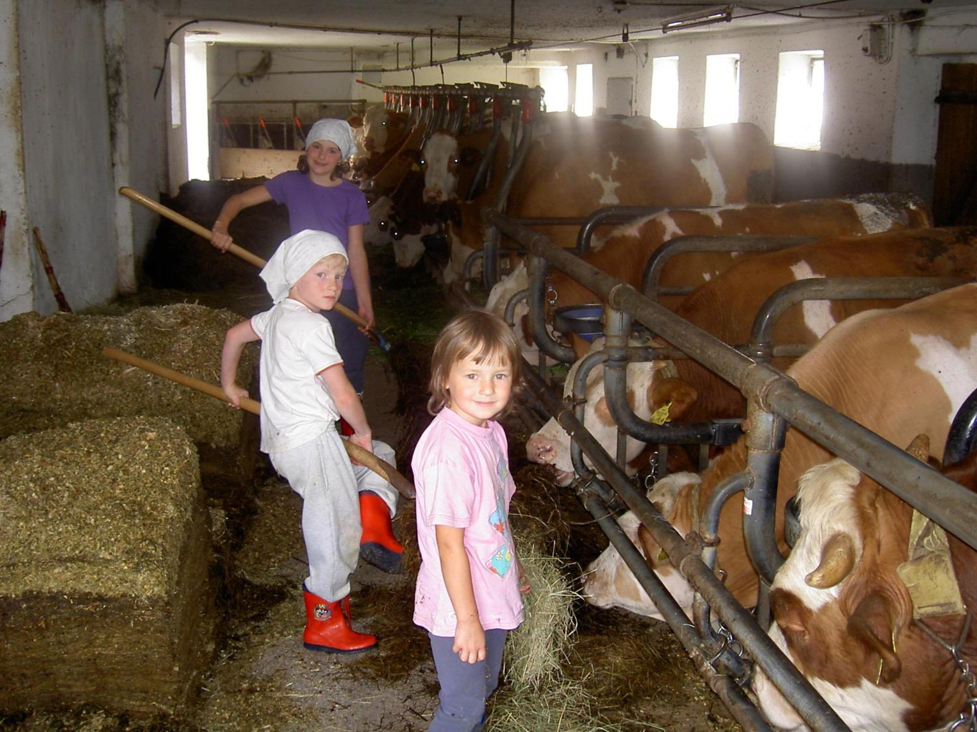 Urlaub Am Bauernhof Wenigeder - Familie Klopf Vila Gutau Exterior foto