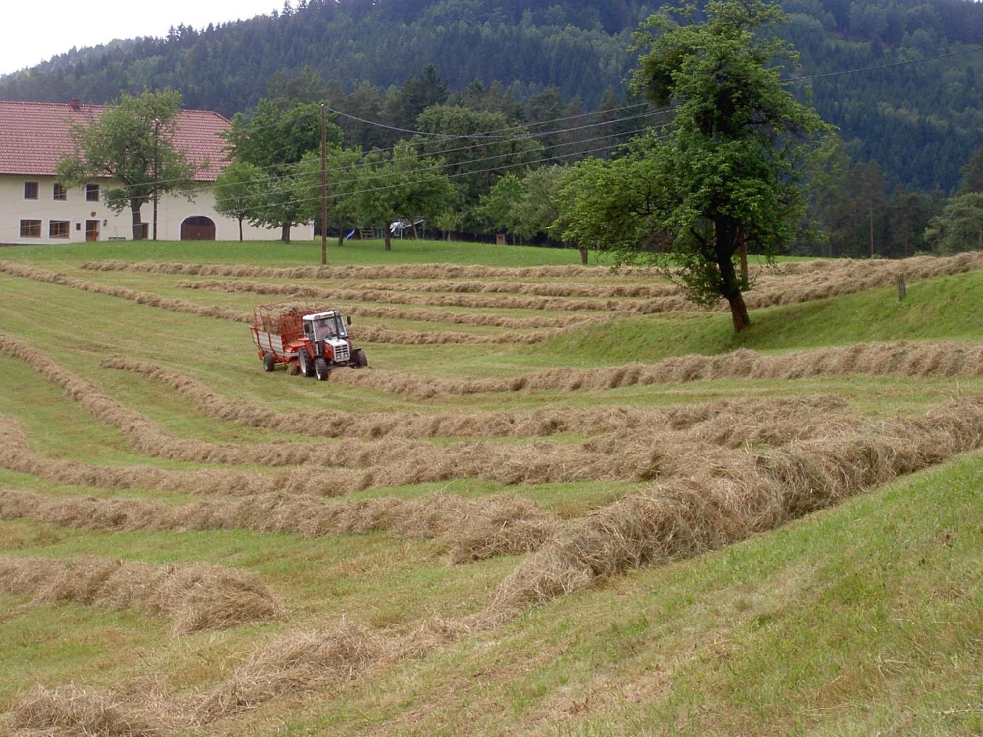 Urlaub Am Bauernhof Wenigeder - Familie Klopf Vila Gutau Exterior foto