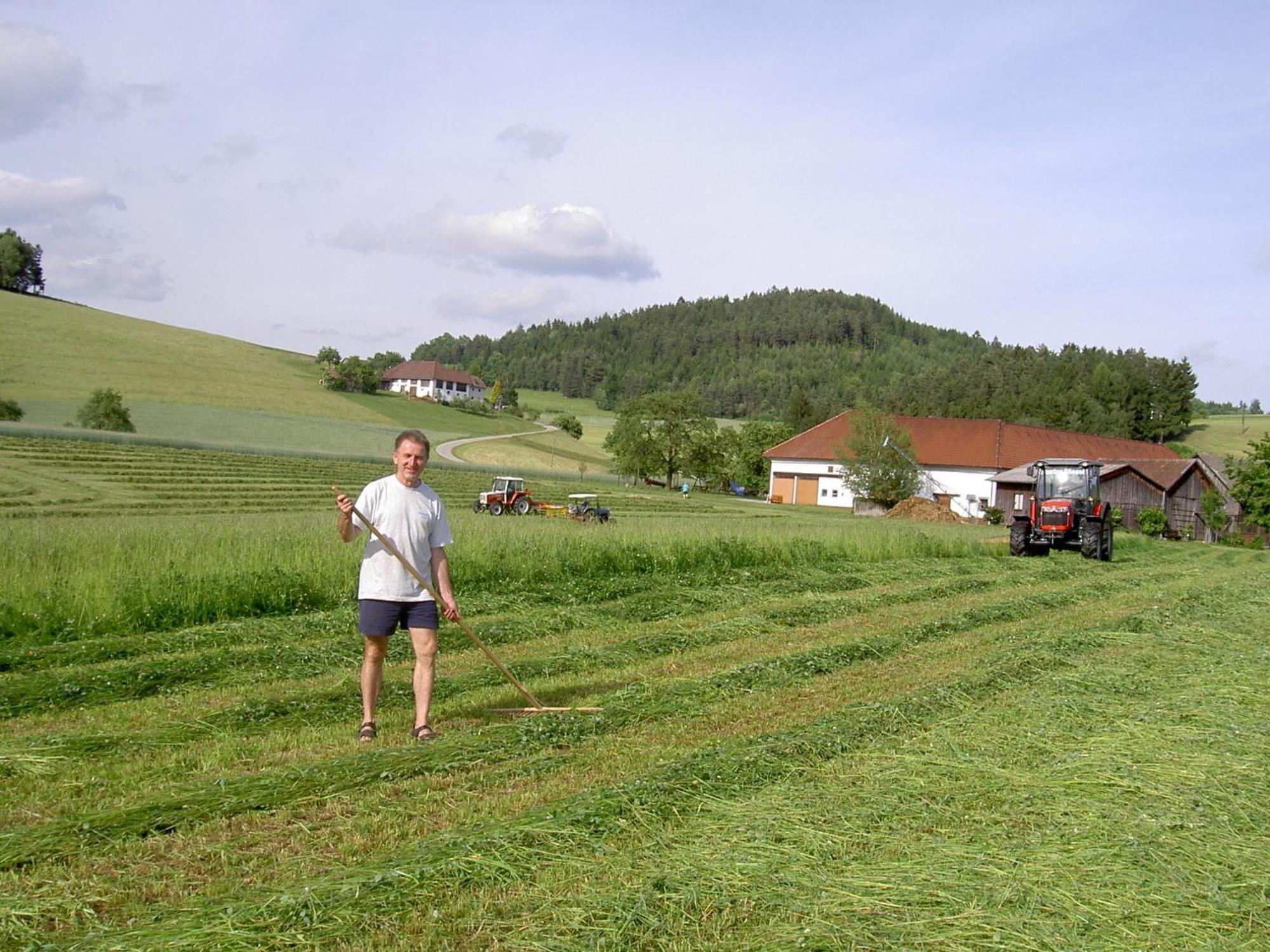 Urlaub Am Bauernhof Wenigeder - Familie Klopf Vila Gutau Exterior foto