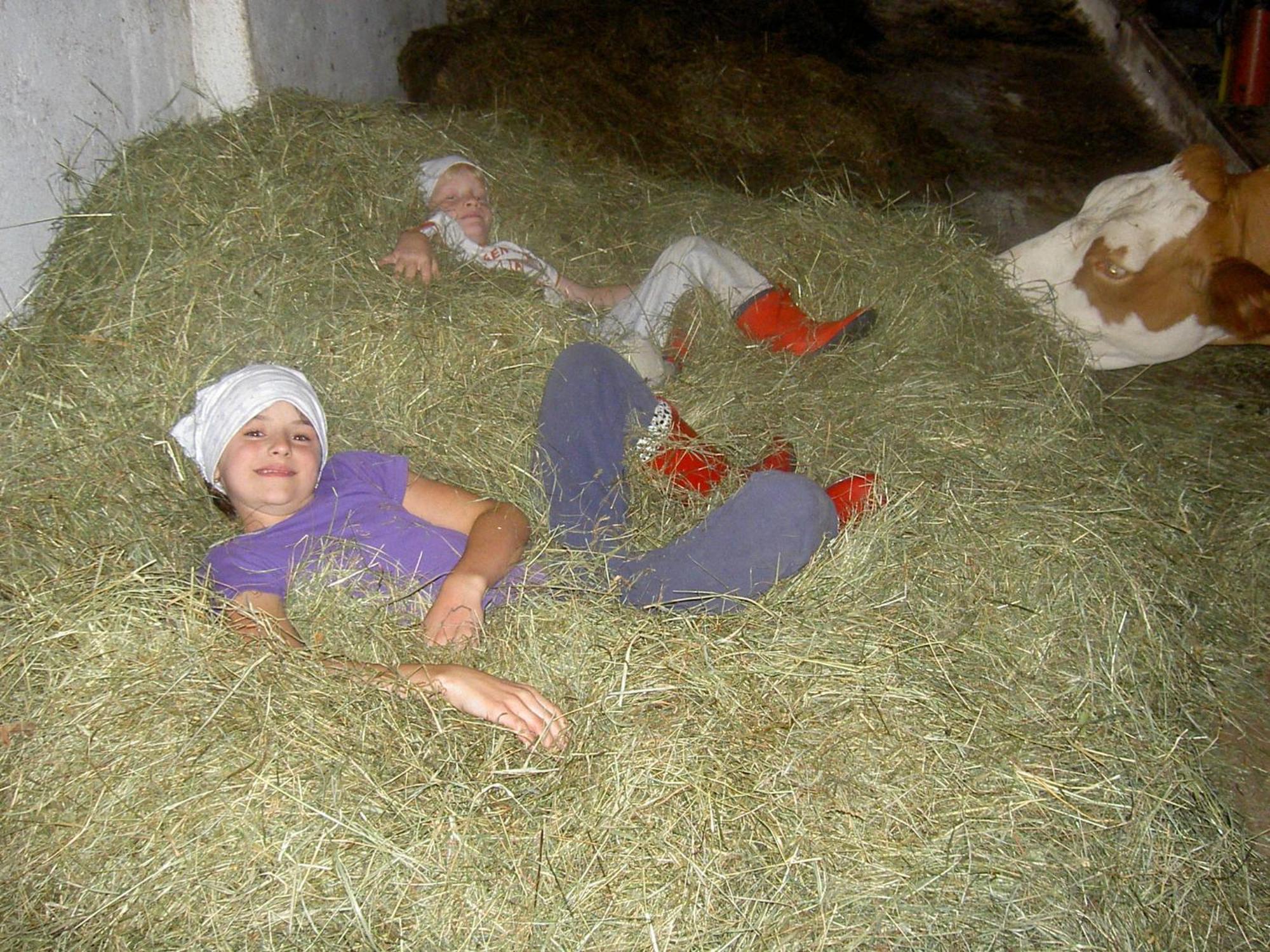 Urlaub Am Bauernhof Wenigeder - Familie Klopf Vila Gutau Exterior foto